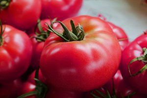 ОБЗОР ЛУЧШИХ СОРТОВ ТОМАТОВ ДЛЯ УРАЛА И СИБИРИ.Проверено временем и мои результаты