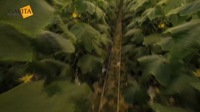 Что если создать бесконечную и бесплатную энергию?