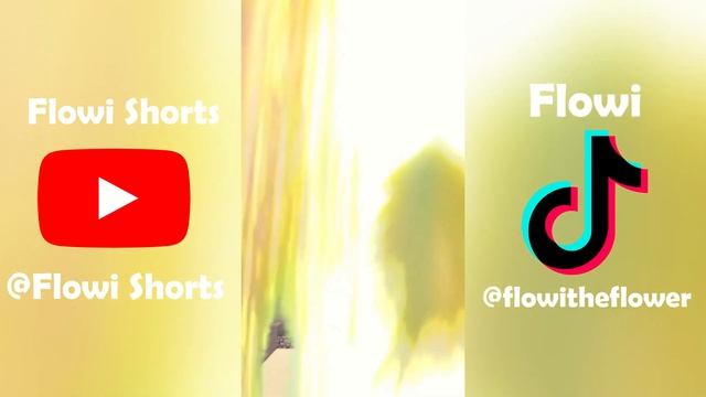 Flowi's 2022 Rewind | Roblox 2022 TikTok Meme Compilation смотреть онлайн