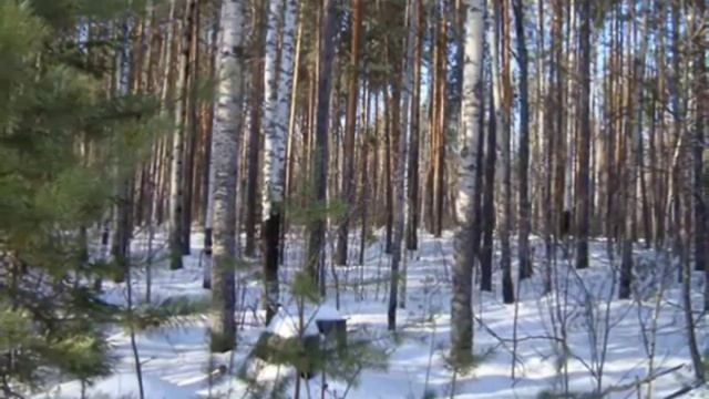 Родина моя - Скородум смотреть онлайн