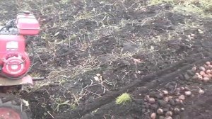 Картофелекопалка ккм-1 немножко доработаная