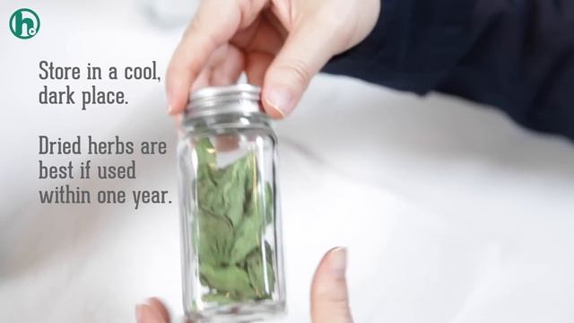 How to Dry Fresh Herbs in the Microwave: Howdini Hacks смотреть онлайн