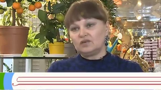 Как правильно выбрать цветы для мужчины? смотреть онлайн