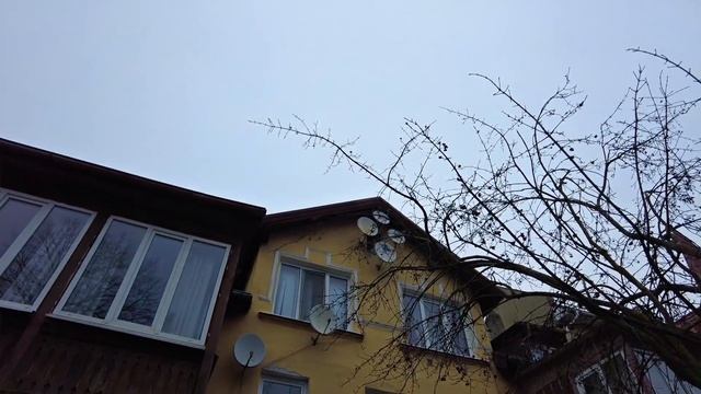 ЗЕЛЕНОГРАДСК в Новый 2021 Год: Европа ближе, чем кажется | Калининградская область смотреть онлайн