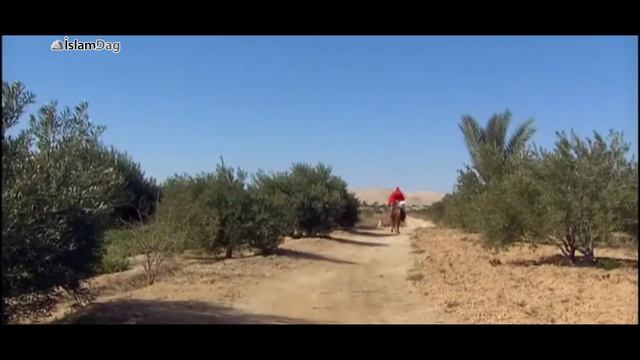Пророк, похороненный после пророка Мухаммада ﷺ смотреть онлайн