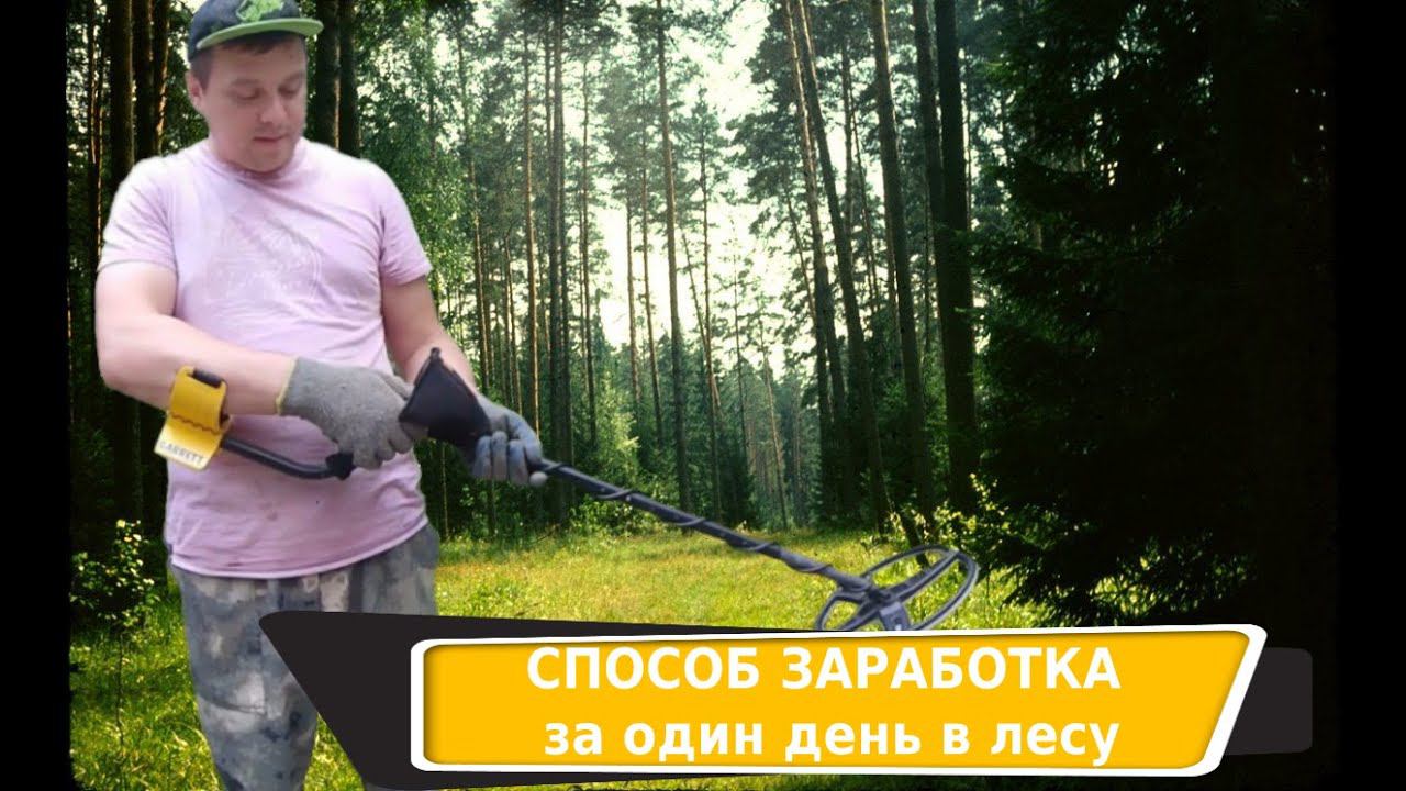 Металлокоп / Как можно заработать за один день в лесу смотреть онлайн