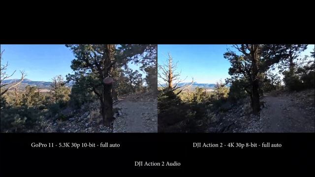 GoPro Hero 11 5.3K Vs DJI Action 2 4K | 30P | Hiking Footage Test