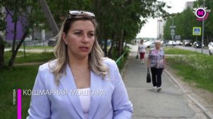 Мегаполис - Кошмарная мошкара - Югра