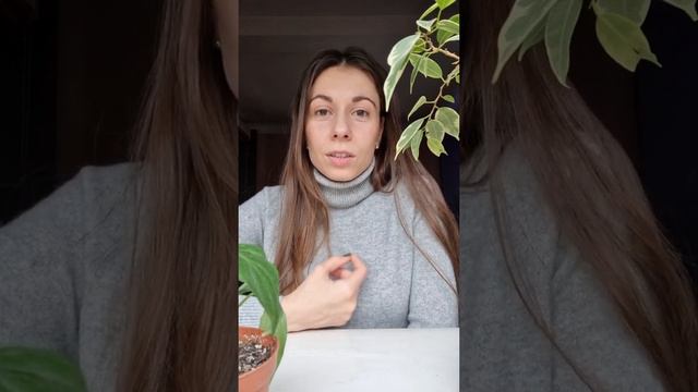 Что значит "ОСТАВИТЬ ВСЁ"? смотреть онлайн