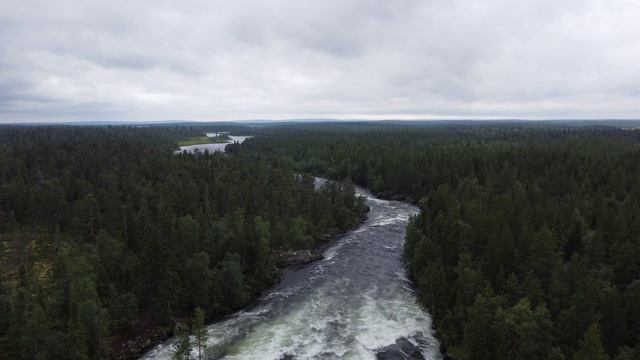 Умба Падун обзор.mp4 смотреть онлайн