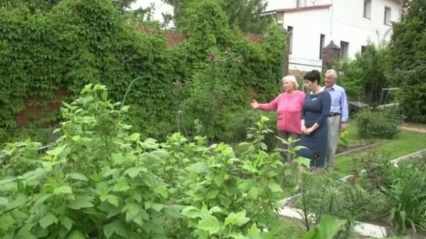 Идеальный ремонт 17.08.2019 на remont-online.net