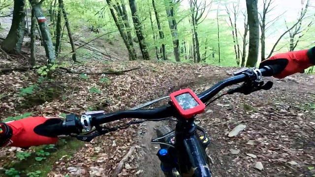 Alberi in Mezzo ai Trail! Bagno di Romagna смотреть онлайн