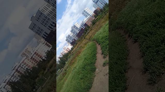 Сделал велик из хлама и протестировал на бездорожье