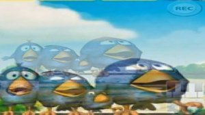 Talking Birds On A Wire  Android Game - playslack.com