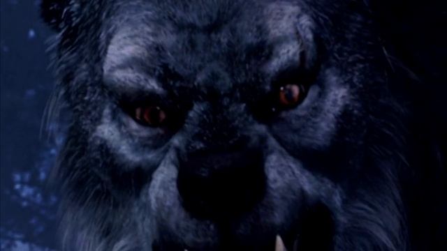 Римус Люпин: Каким Было Счастье Оборотня?