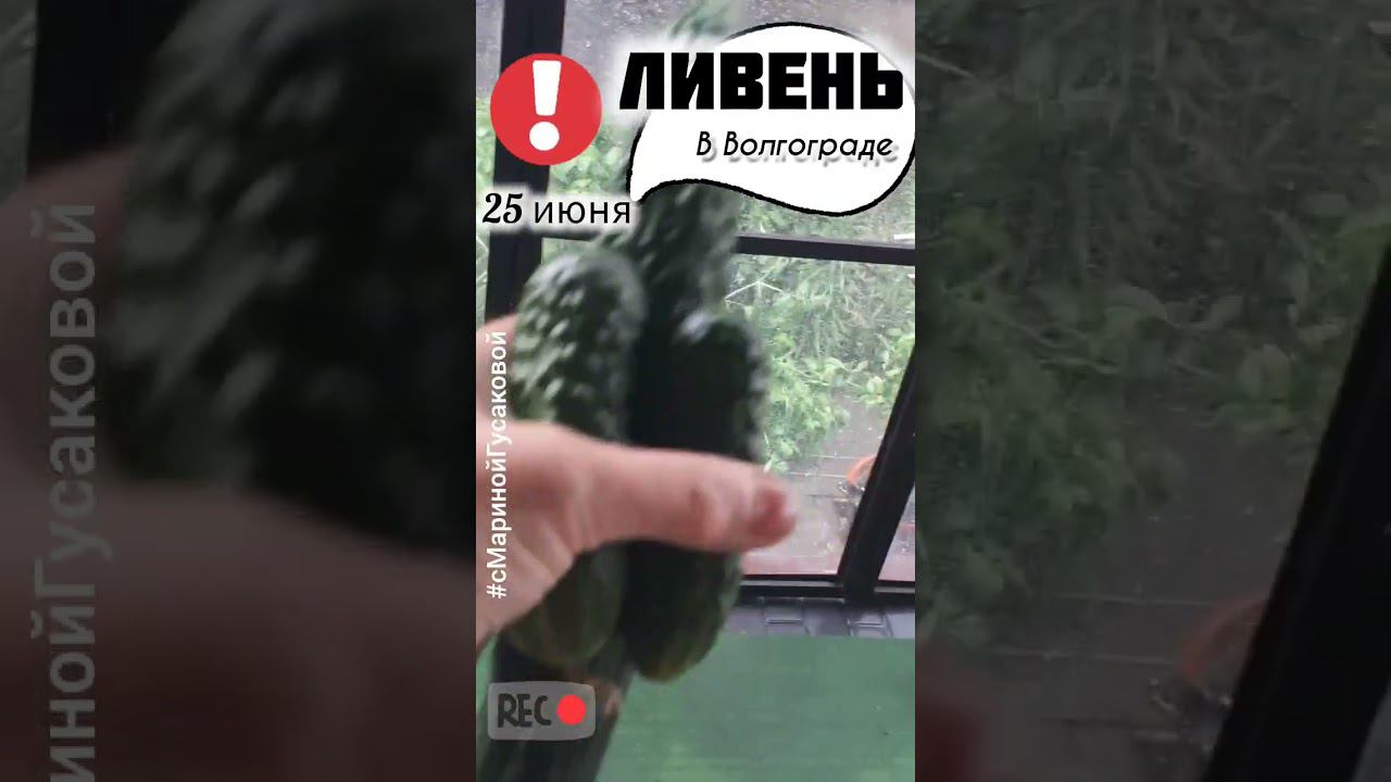 ЛИВЕНЬ в  ВОЛГОГРАДЕ ВОТ ЭТО НАС ЗАЛИВАЕТ  25 июня в 9:45 смотреть онлайн