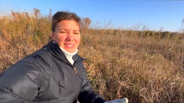 Последствия урагана | Дуб из жёлудя | Обрезка винограда