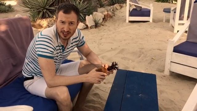 Колоссопутешествия. Мадагаскар. Аллея баобабов смотреть онлайн