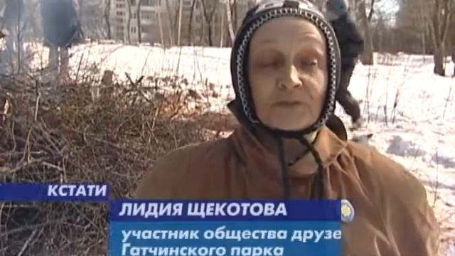 В гостях у общества друзей Гатчинского парка смотреть онлайн