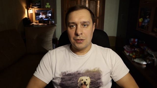 Щенок Лабрадора в Квартире. КАК С НИМ СПРАВЛЯТЬСЯ ? Часть 1 смотреть онлайн