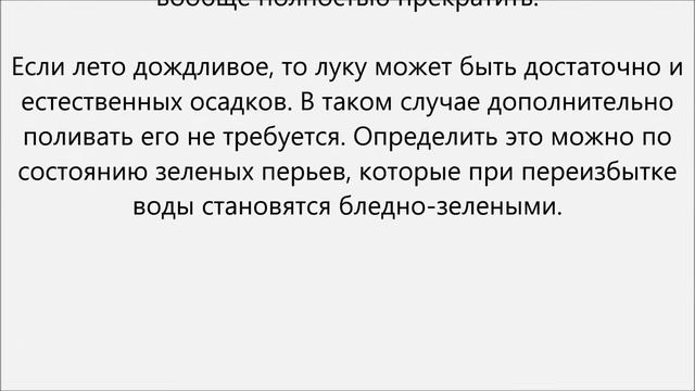 Как поливать севок.Как поливать лук севок смотреть онлайн