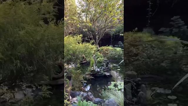 #достопримечательностиСочи смотреть онлайн