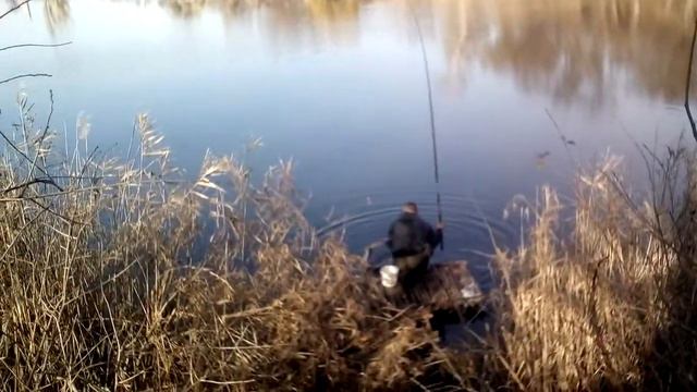 Рыбалка в Лисичанске , Ловля Щуки на живца смотреть онлайн