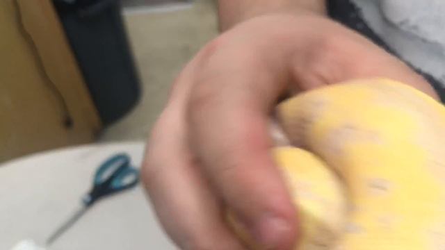 BALL PYTHON BITE!!! смотреть онлайн