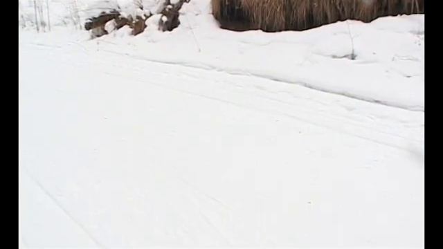 Выходные в Саяногорске пройдут под знаком спорта и классической музыки смотреть онлайн