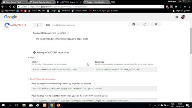 Wordpress ile Google reCaptcha смотреть онлайн