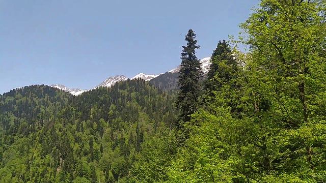 озеро Рица Абхазии смотреть онлайн