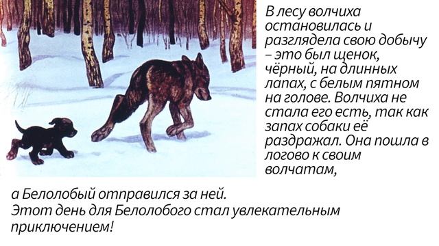 Краткое содержание Белолобый. Чехов А. П. Пересказ рассказа за 3 минуты смотреть онлайн