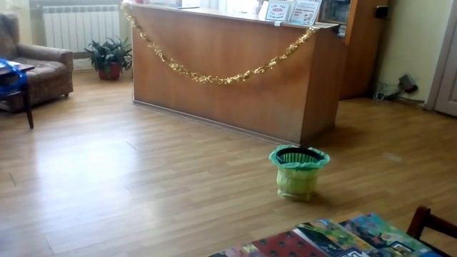 Новогодний поздравительный квест для детей '' Зеркало Снежной королевы '' (Киев, декабрь 2019) смотреть онлайн