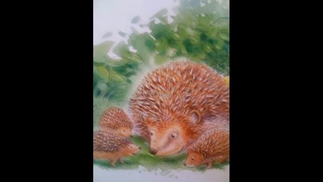 Как живут ёжики смотреть онлайн