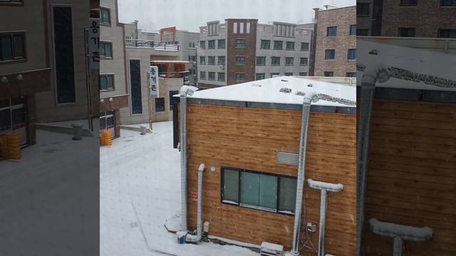 В Корее Снег ❄️ идёт уже 5й день... смотреть онлайн