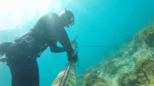 Spearfishing Long Range Orada