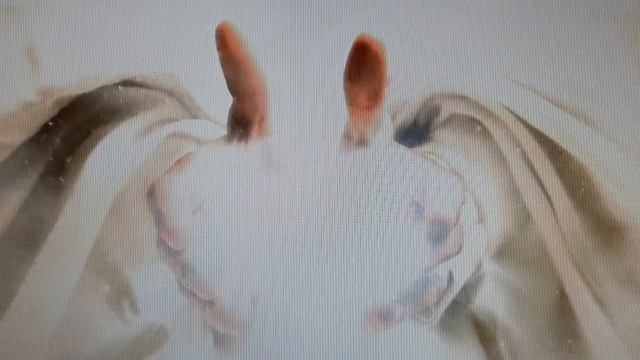 "Вырванный лист" - стихи о любви и вечности из книги "Просветление". смотреть онлайн