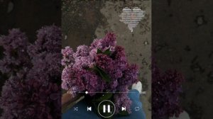 Bakr-  Апрельская сирень