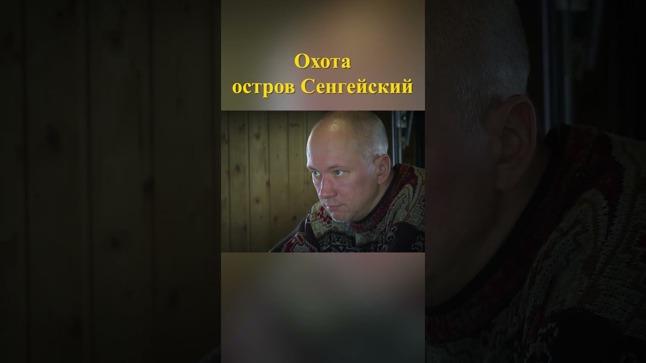 Прощальная застольная песня Охота на острове Сенгейский 25 #охотавроссии #охотанагуся смотреть онлайн