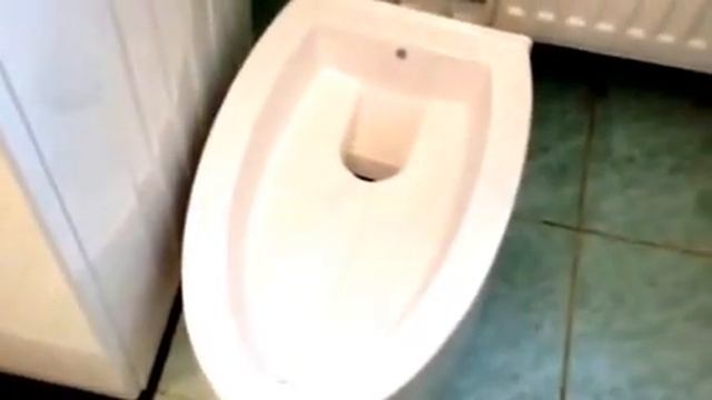 Автоматический кошачий туалет смотреть онлайн