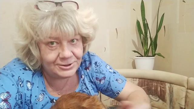 Удобная эта ВЕЩЬ!!!)-ДОСТАВКА!!!😀 Новая причёска у Тоси)Яна признала, что она на меня НАГОВОРИЛА!) смотреть онлайн