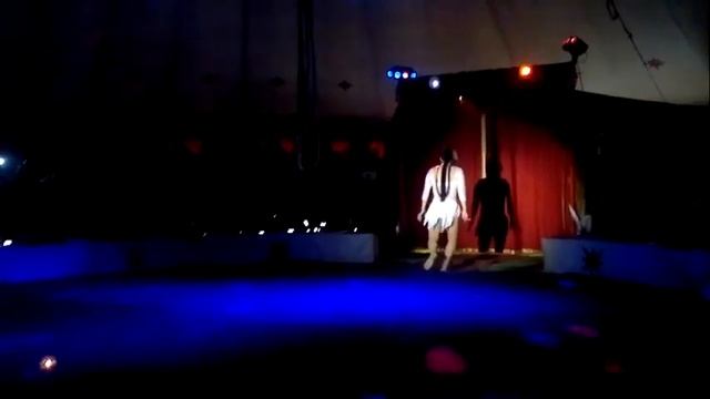 Во Владимире гимнастка сорвалась из-под купола цирка смотреть онлайн