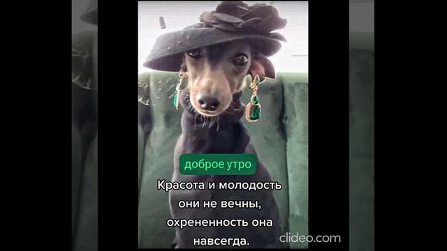 ночь 12.09 5 смотреть онлайн