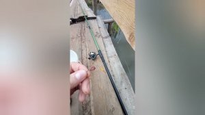 Очень ВАЖНЫЕ советы для начинающих рыбаков!))