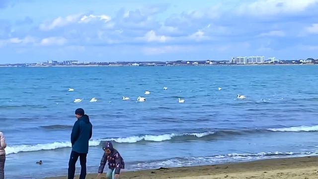 ТАКОЙ АНАПУ ВЫ НЕ ВИДЕЛИ В 2021 ГОДУ. ВЕСНА НАЧАЛАСЬ. смотреть онлайн