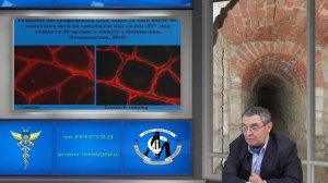 «Цервикокраниалгия: скелетно-мышечные причины боли. Состояние мышц при боли»