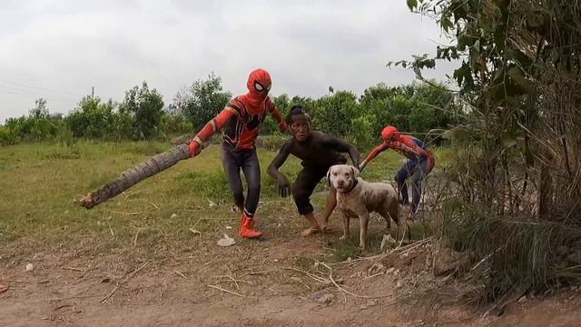 Pro 3 SUPERHERO TEAM | Spider-Man With Pitbull Dog Go To Rescue The Girl From Giant Python Monster смотреть онлайн