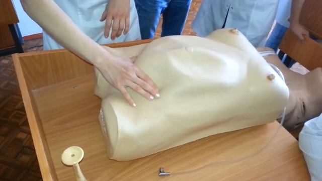 Приемы Леопольда-Левицкого