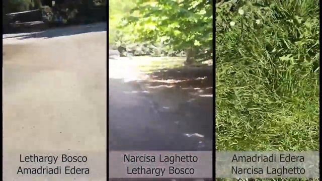 PERFORMANCE - Improvvisazioni itineranti in Parco Sempione - Ariella Vidach AiEP смотреть онлайн
