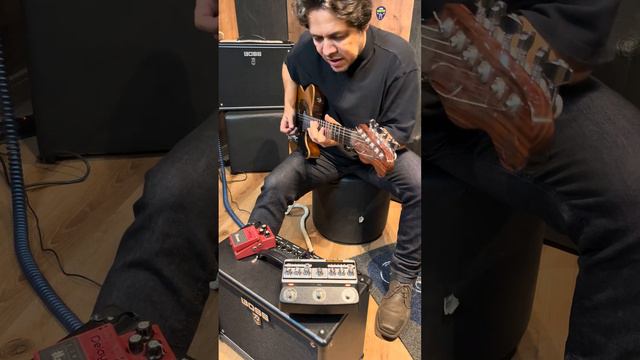 Boss DM101 Delay Machine Slap Back Echo - Ricardo Marins смотреть онлайн